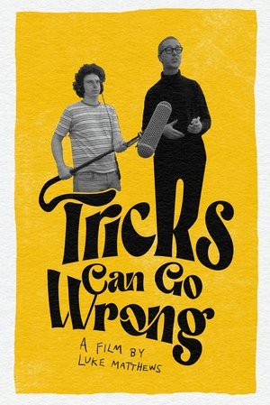 Tricks Can Go Wrong (2024) WEBRIP Hindi (MULTI AUDIO) 720p – 480p – 1080p